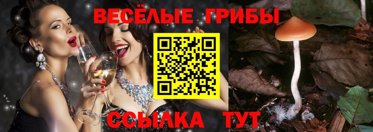 Псилоцибиновые грибы MAGIC MUSHROOMS  Вход с VPN  Ялта 